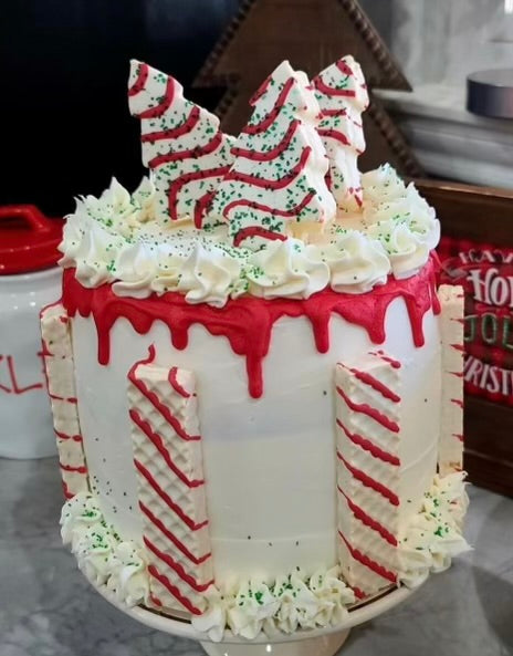 Debi’s Winter Wonderland Cheesecake Cake