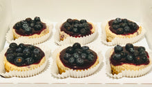 Load image into Gallery viewer, Blueberry Cheesecake